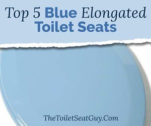 Blue elongated toilet seat