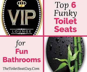 Funky toilet seat
