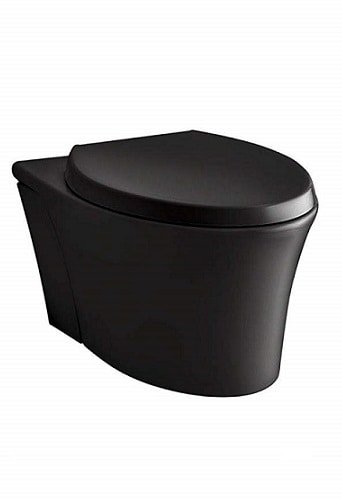 Black Toilet - Kohler Veil