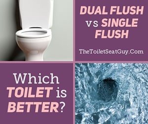 Dual Flush vs Single Flush
