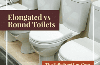 Elongated vs Round Toilet – Which is the Best?