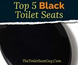 Brilliant Black Toilet Seat Elongated Or Round