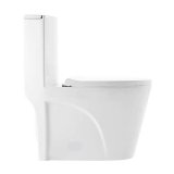 Swiss Madison Toilet Review